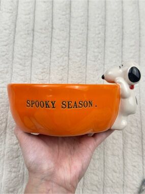Rae Dunn Peanuts Snoopy Pet Bowl